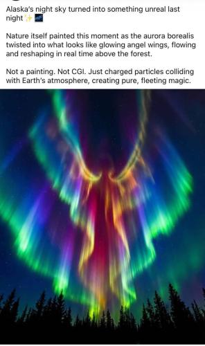 IMG_20251215_081014_454