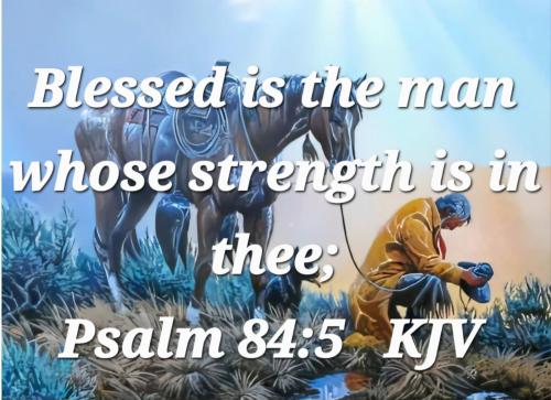 bb86ca15-e183-4df5-8151-843bbfe426a7