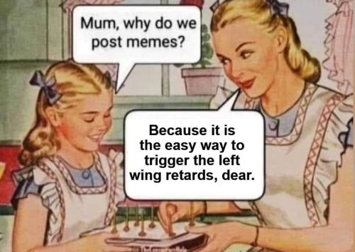 We post memes not because it is easy but because it triggers the left wing retards.768px