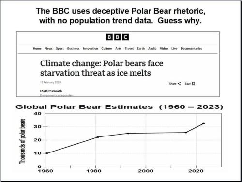 BBC And Polar Bears