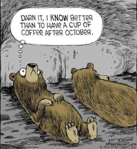 Screenshot_20251202_062810_Gallery