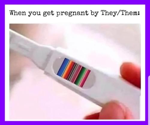 FB_IMG_1765268848746