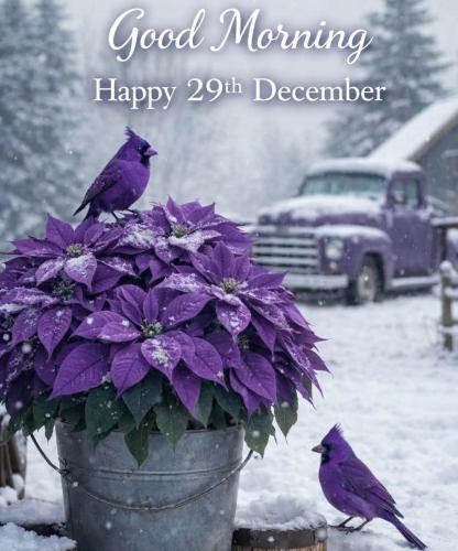 FB_IMG_1767011034012