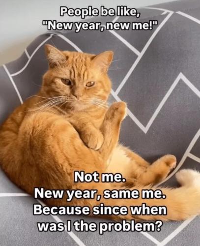 image_378846F8-3870-4956-854E-D60E3574D90B