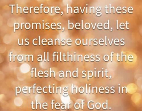 IMG_20251218_171711_524