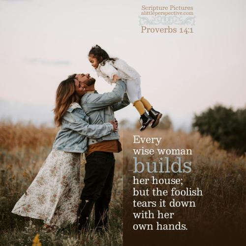 pro-14-1-KJV-unsplash