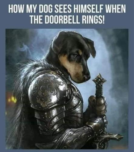 Screenshot_20251204_161207_Gallery