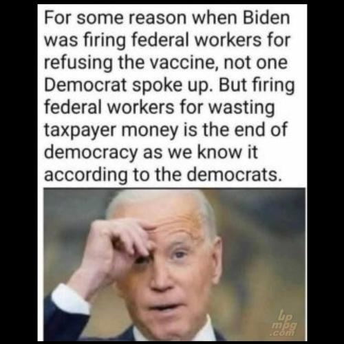 main-qimg-4e144361cb9fffa236645ebec50c9e22