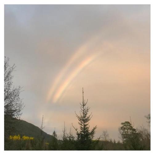 bc4fc73c-9105-4914-8404-5c3fb8a3b952