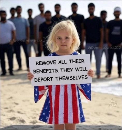 main-qimg-7c896729641bc90cf4ee1295040cb3c3