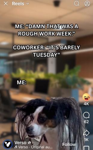 IMG_20251223_153949_453