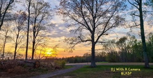 Screenshot_20251201_184742_Gallery