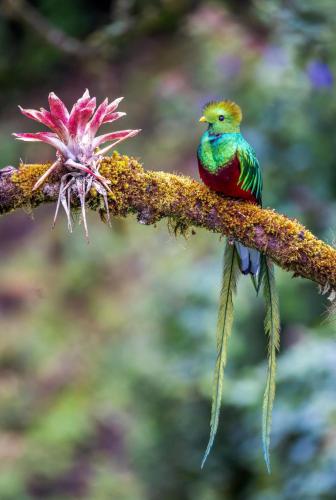 RDT_20251204_2115122302807273494460367