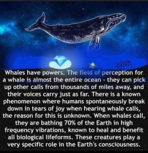 ,      ,             BdX7M1JO