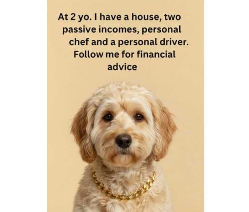 rmH7H7LFRICrBOvu8YIM_27_745a96a27f1bf29f6b0da42d8ae865c1_image