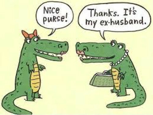 nice-purse