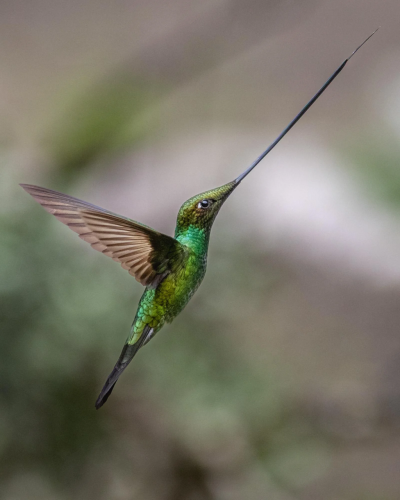 RDT_20251228_0858221799202833233329473