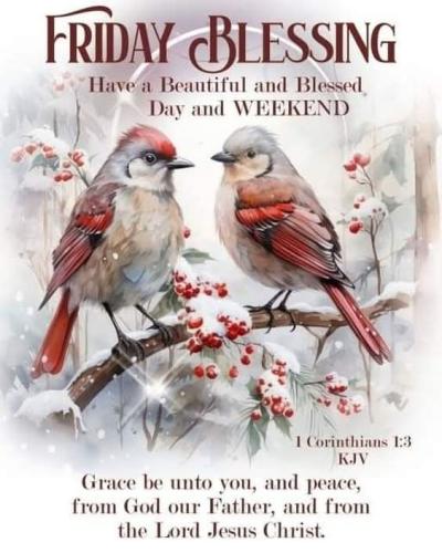 FB_IMG_1765551168489