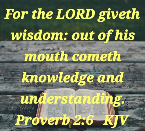 ed5b6b04-baed-4ff6-ae61-e7456c3d9e9a