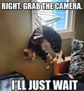 0ce23a74b184caeb062018c8c5e00b34