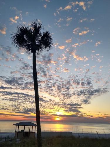 eb29744d-0e6c-4b1d-8b46-5c90c6cec602