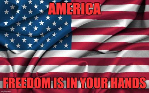 AMERICAFREEDOMISINYOURHANDS