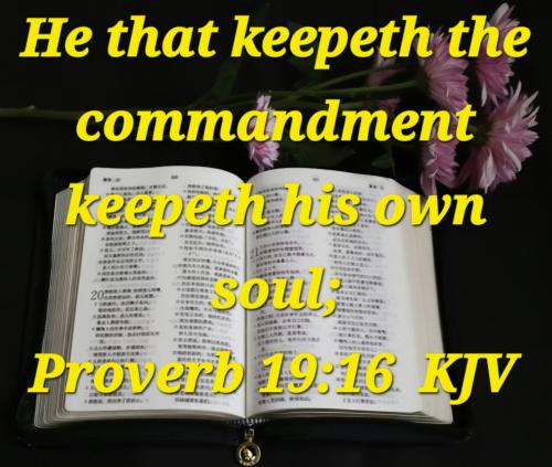 da62c50f-ee4f-4b5e-a1af-ec3e271ccada