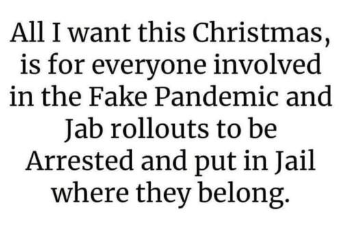 IMG_20251224_155238_979