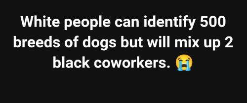 Screenshot_20251216_213530_Chrome~2