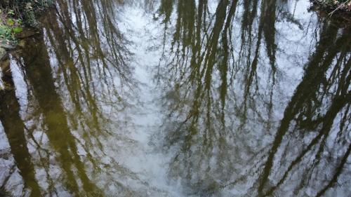 dji_fly_20251130_151302_696_1764512293690_photo_optimized