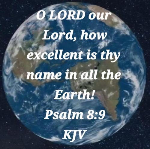 707a2d63-99d4-4e03-9dc0-247375a99cbe