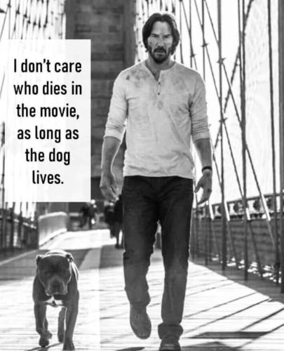 2481b9d5-82b5-43a1-8751-3afb547d0c3b