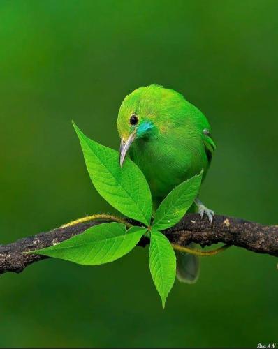 RDT_20251218_13384415711000061482754