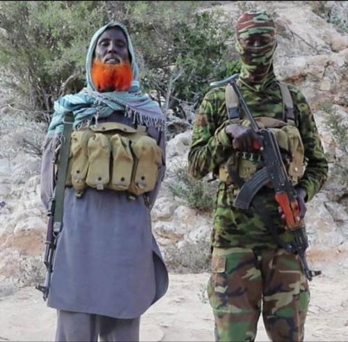 FB_IMG_1764557892540