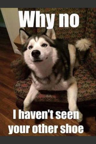 e97af769bab87e04647e756719c109cd