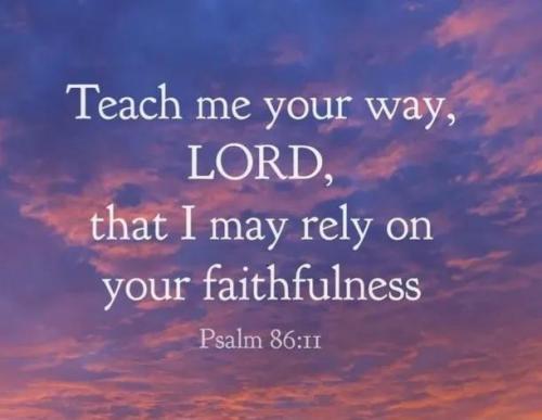 IMG_20251218_171725_567