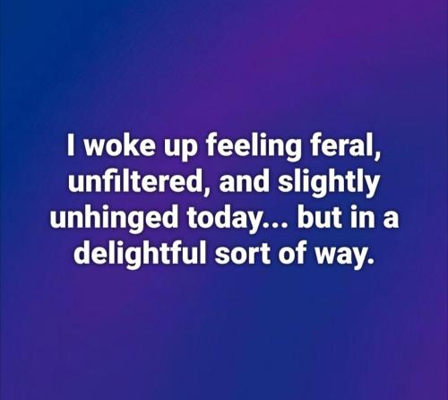 image_D4CFC075-549D-4056-84B9-12194E927678