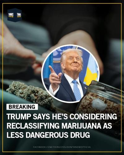 8c54b458-fe54-4e00-bb77-56b55065359f