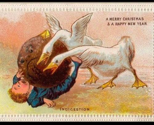 FB_IMG_1766485156103