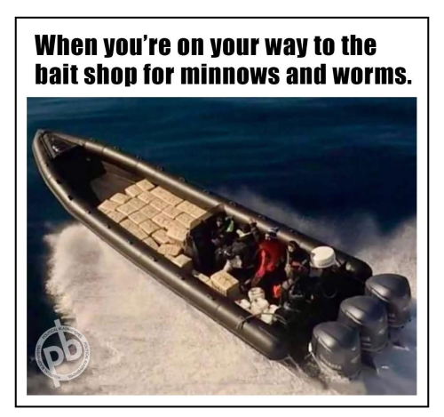 minnows and worms