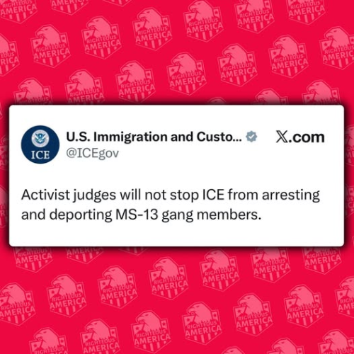 ice and activist judges