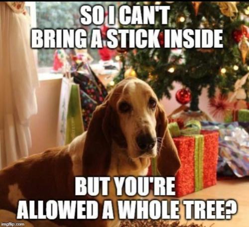 IMG_20251222_142240_574