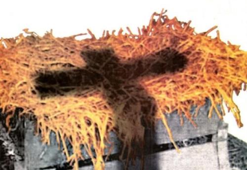 aeef4051-acff-4c34-a630-a61bae89c021