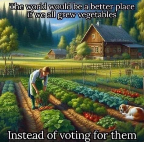 61892cbc0d6551db471123f49a8f04ed_1024