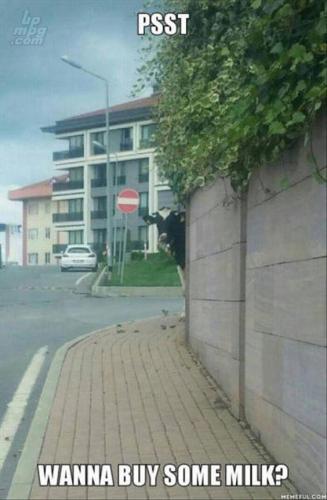 main-qimg-94dfaa470fedb2c25be355d7d9a278ed