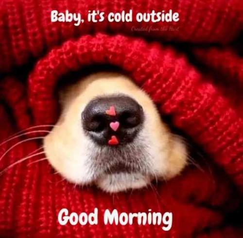 Resized_aa0407aa7cbd7567c4e8d8c2ecbb6566