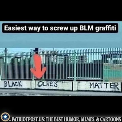 01KC1S0SHZS9HDPR8SGERVW377