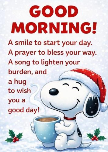 606421179_895534189619791_2677777549375589883_n