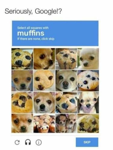 muffins