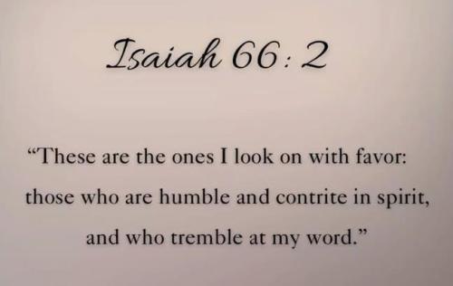 IMG_20251202_132238_553